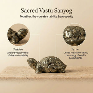 Pyrite Vastu Tortoise 🐢